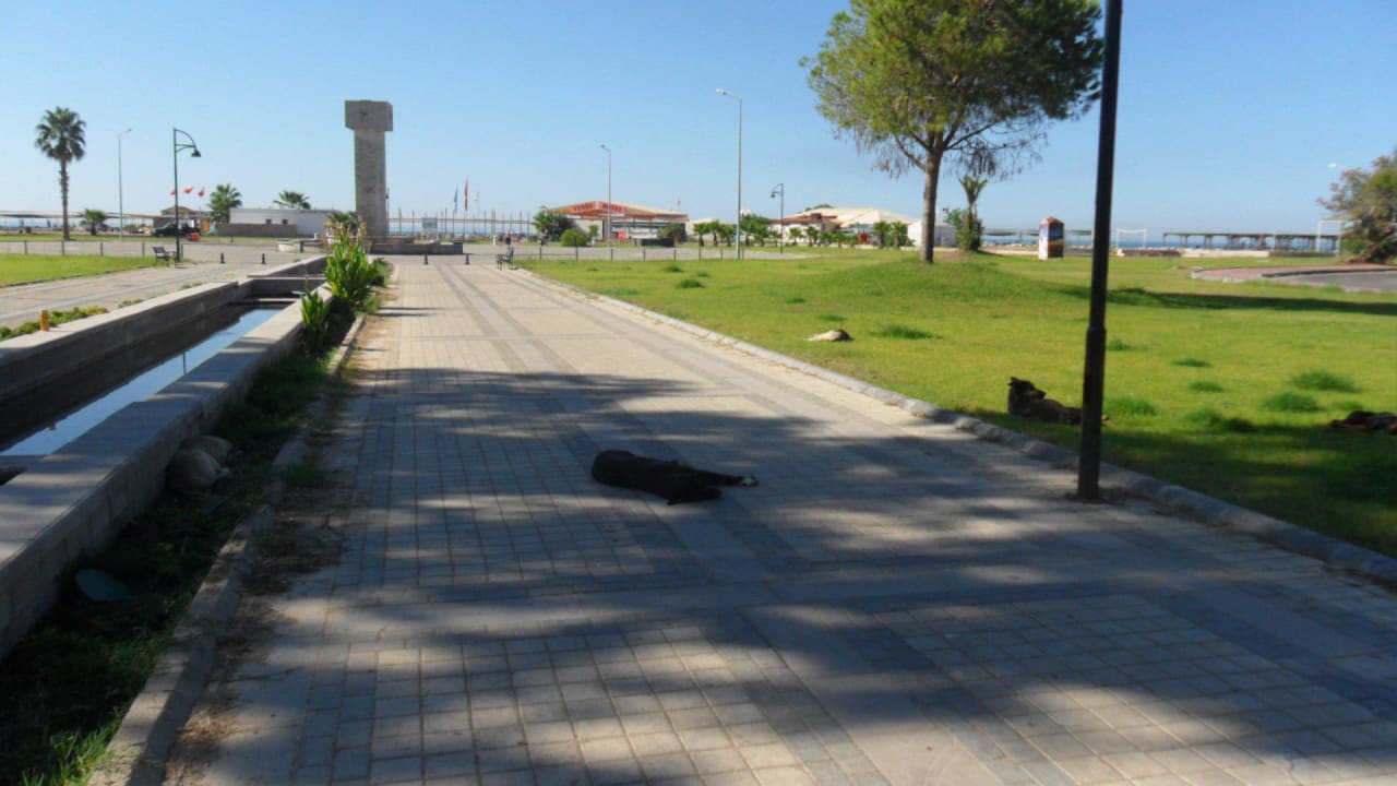 Weg zum Strand Asteria Collection Side