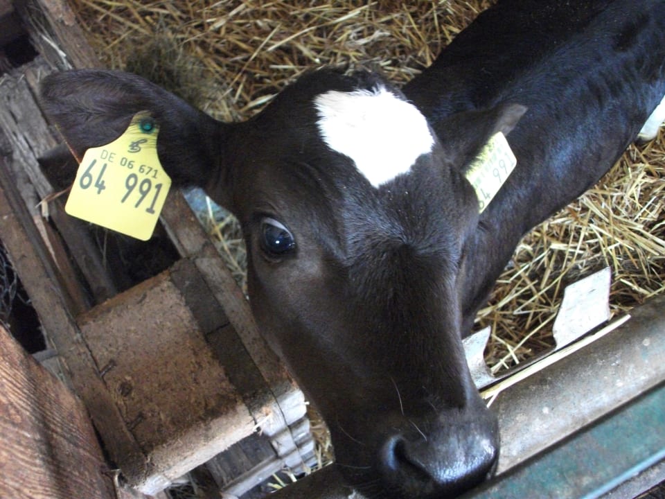 Sonstiges Wiesenberghof