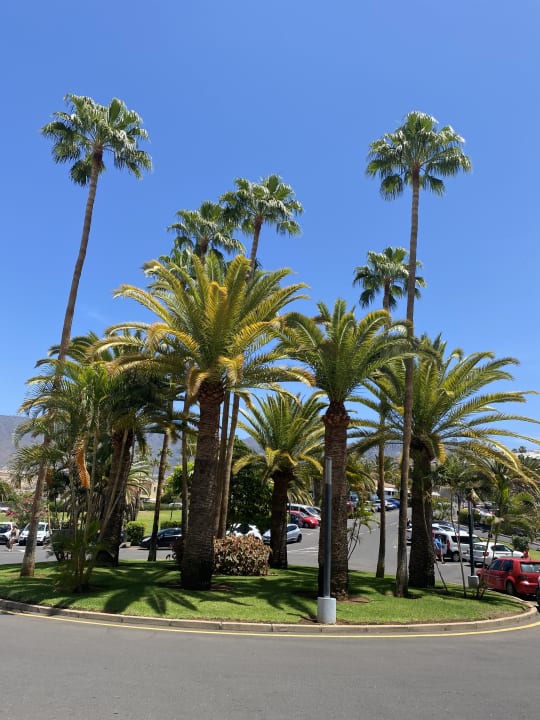 Sonstiges Hotel Riu Arecas - Adults only
