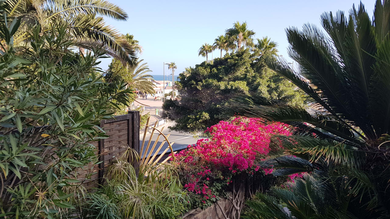 Ausblick Corallium Dunamar by Lopesan Hotels