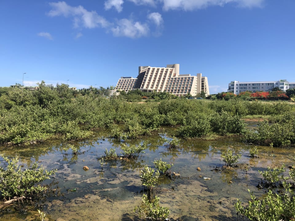 Außenansicht Blau varadero - Adults only