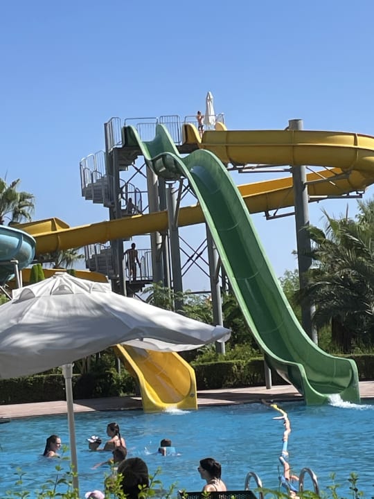 Sport & Freizeit Paloma Oceana