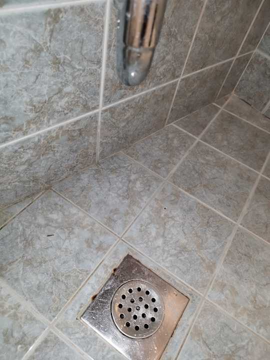 Zimmer Sunny Poreč by Valamar