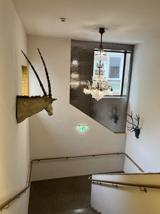 Sonstiges Nala individuellhotel