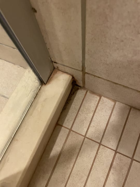 Zimmer Well Palace Side