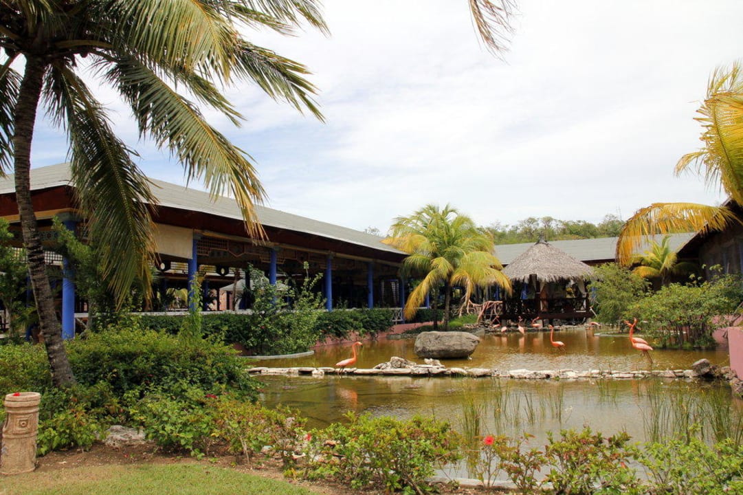 Blick von der Hotelanlage aus auf die Lobby Paradisus Rio de Oro Resort & Spa - Adults only