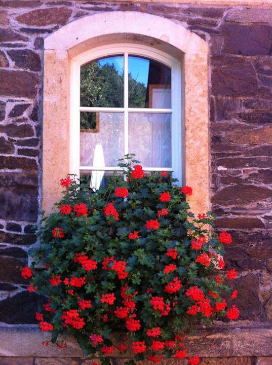 Rabenauer Mühle Hotel Rabenauer Mühle