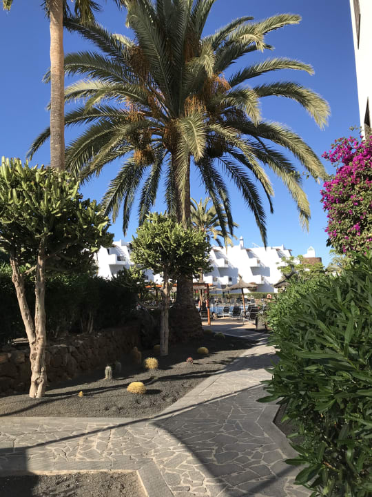 Gartenanlage allsun App.-Hotel Albatros