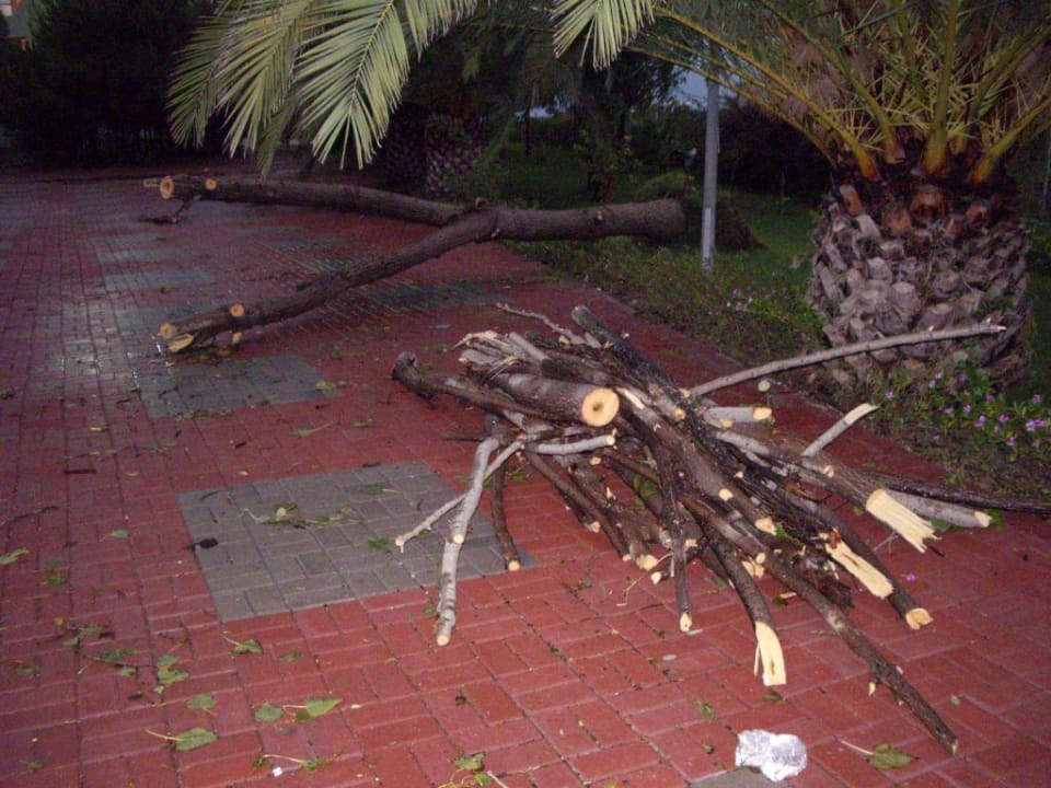 Herbsturm VONRESORT Golden Beach