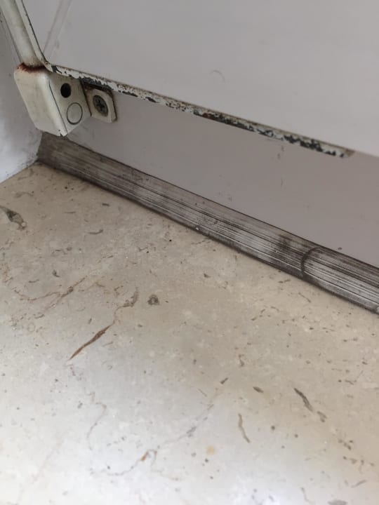 Schimmel am Fenster Hotel Zur Börse