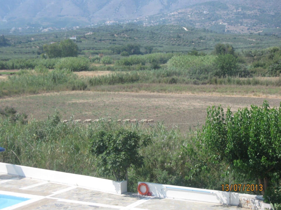 Ausblick vom Zimmer 282 Vantaris Luxury Beach Resort