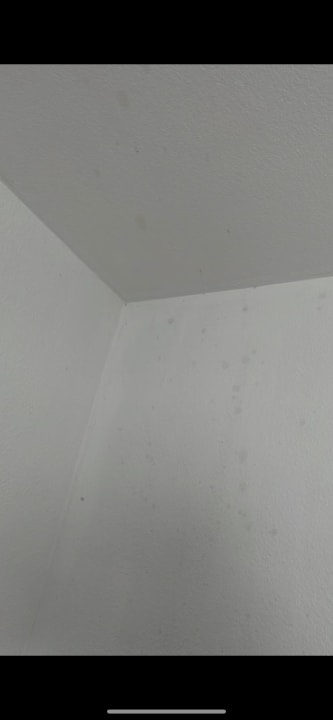 Zimmer Hotel Astoria