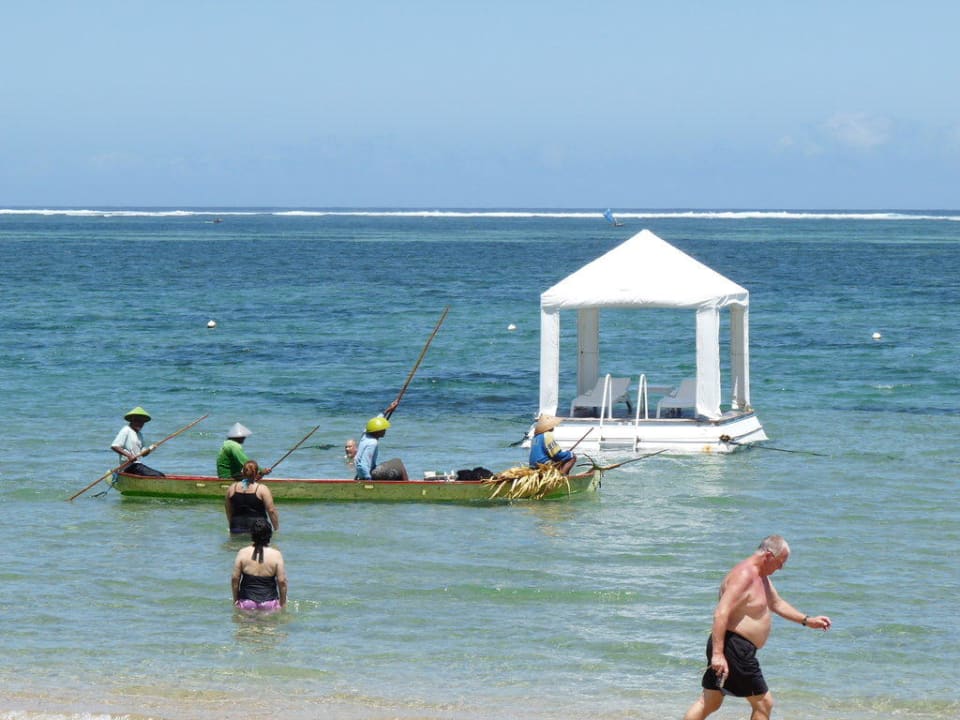 Fischer Puri Santrian