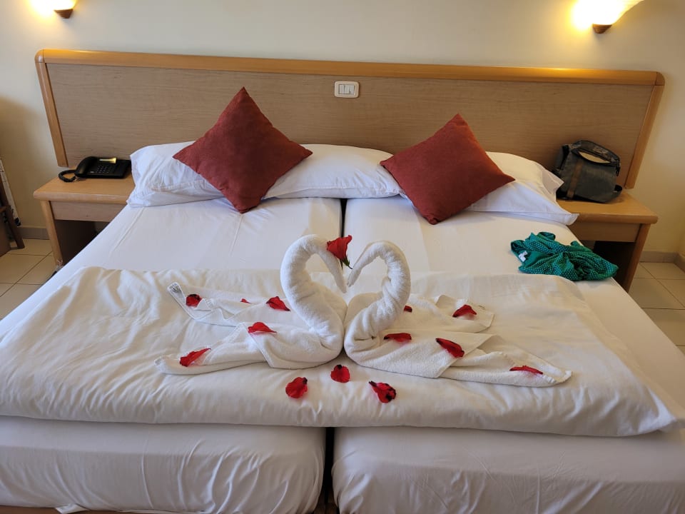 Zimmer Nour Palace Resort & Thalasso