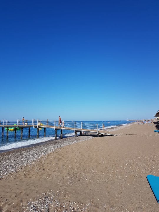 Strand TUI BLUE Palm Garden