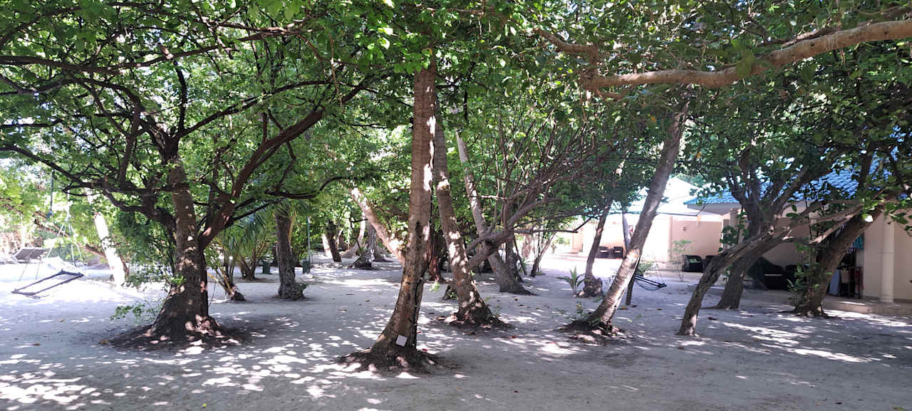 Gartenanlage Embudu Village