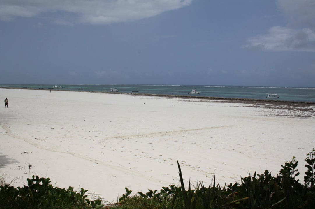 Blick zum Strand/Meer Baobab Beach Resort & Spa