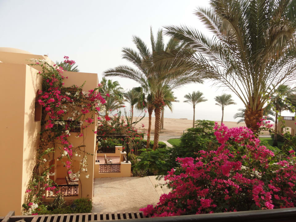 Blick vom Zimmer Steigenberger Coraya Beach - Adults only