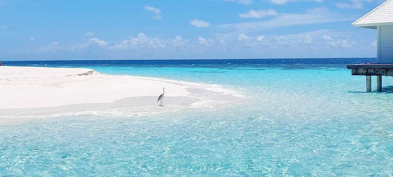 Sonstiges ananea Diamonds Athuruga