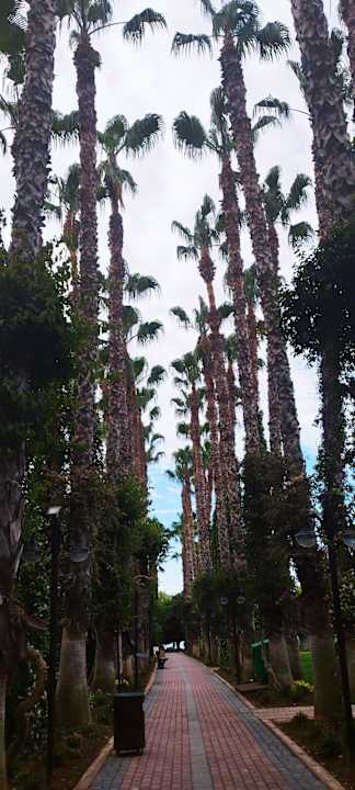 Gartenanlage Hotel Gardenia Beach
