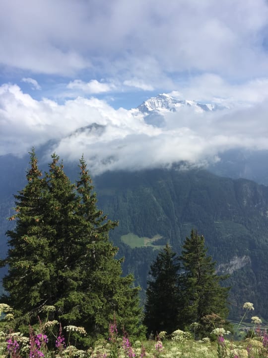 Wunderschöne Gegend Jungfrau Lodge, Swiss Mountain Hotel