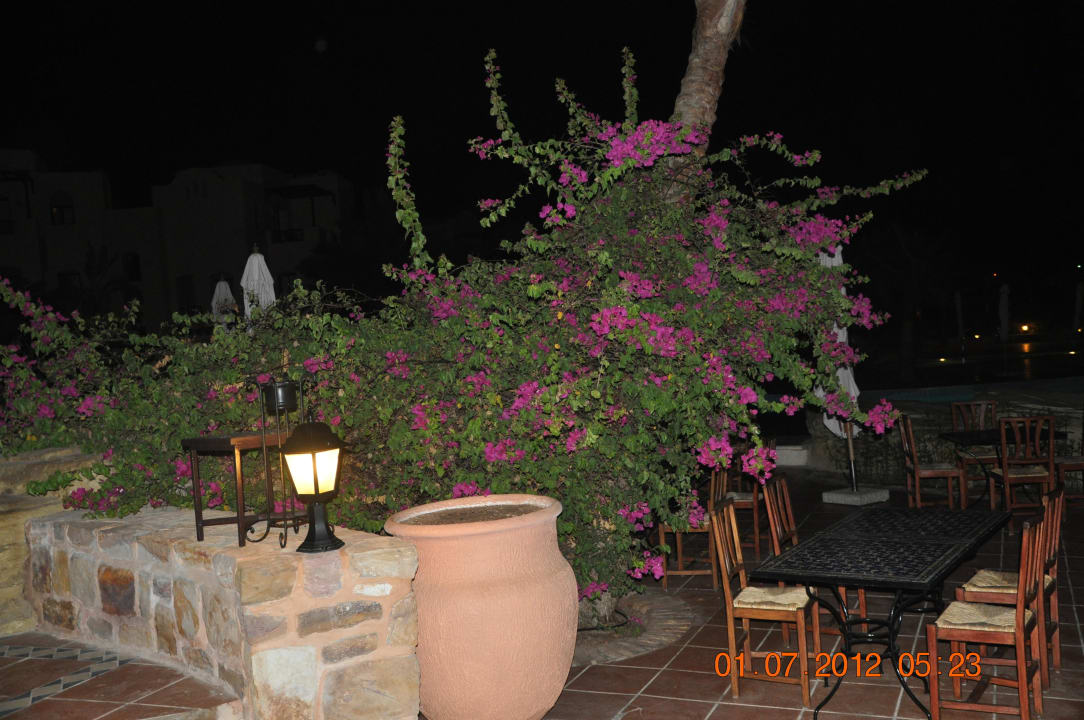 Bei Nacht Steigenberger Coraya Beach - Adults only