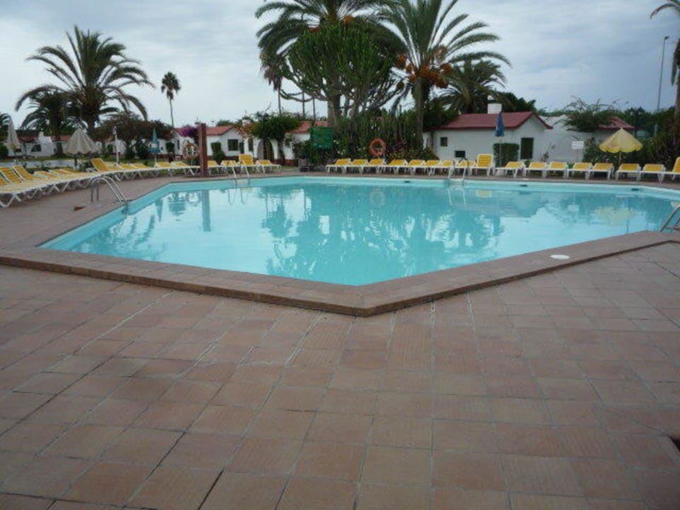 Der Pool am Morgen Canary Garden Club