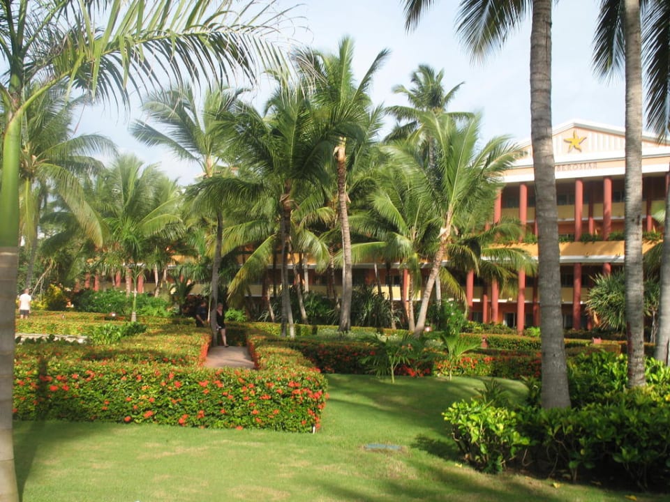 Gartenanlage  Iberostar Waves Punta Cana