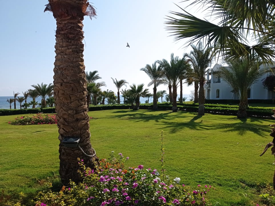 Gartenanlage Fantazia Resort Marsa Alam