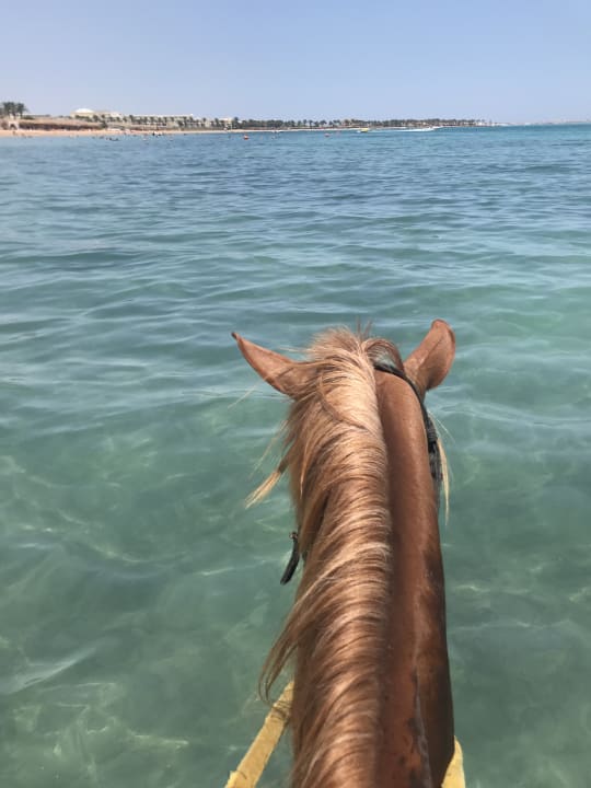 Strand Sentido Caribbean World Soma Bay