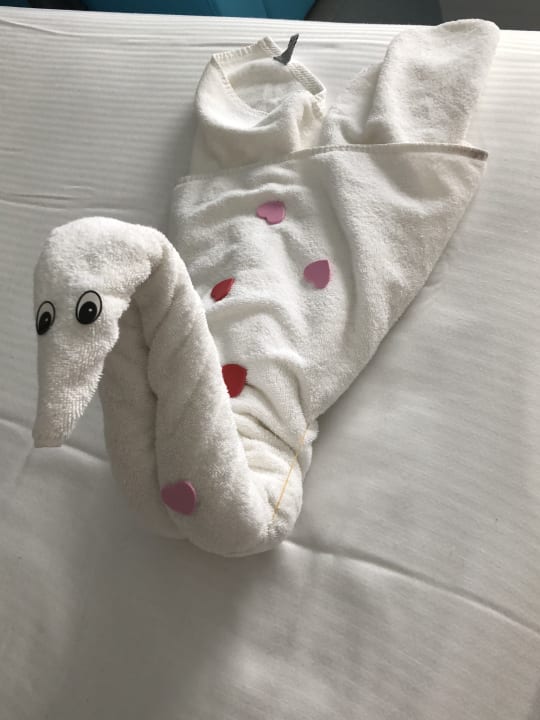 Zimmer Hotel Riu Dunamar