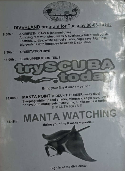 Täglich wechselndes Tauch- und Schnorchelprogramm Summer Island Maldives