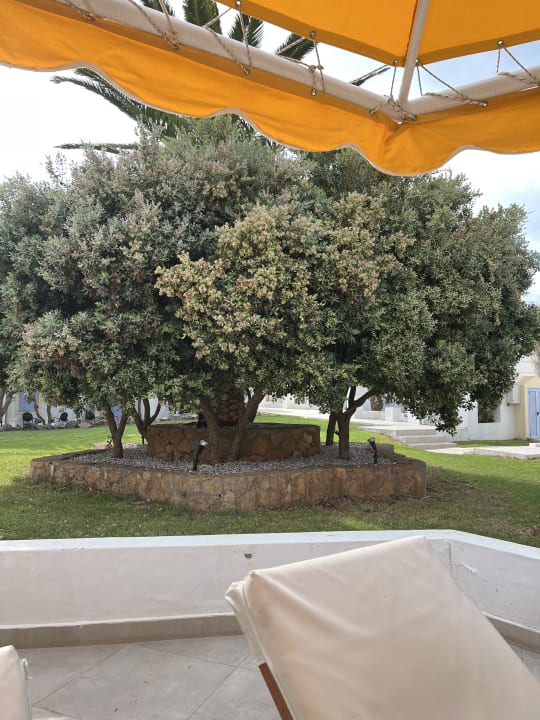 Gartenanlage Hotel Serita Beach