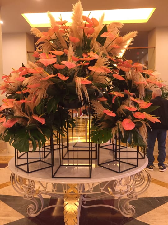 Lobby Arum Barut Collection