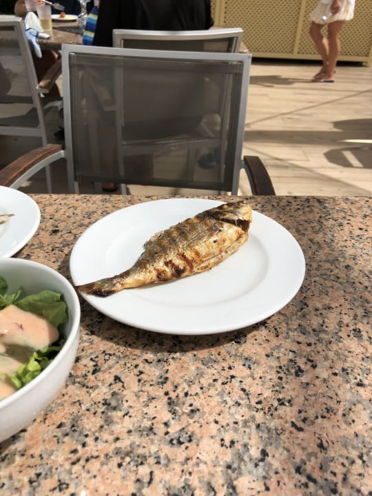 Gastro ROBINSON PAMFILYA