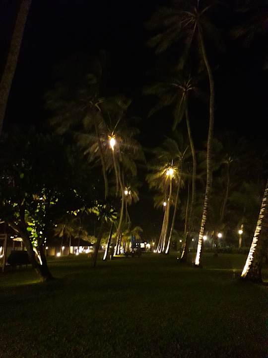 Gartenanlage Thaala Bentota