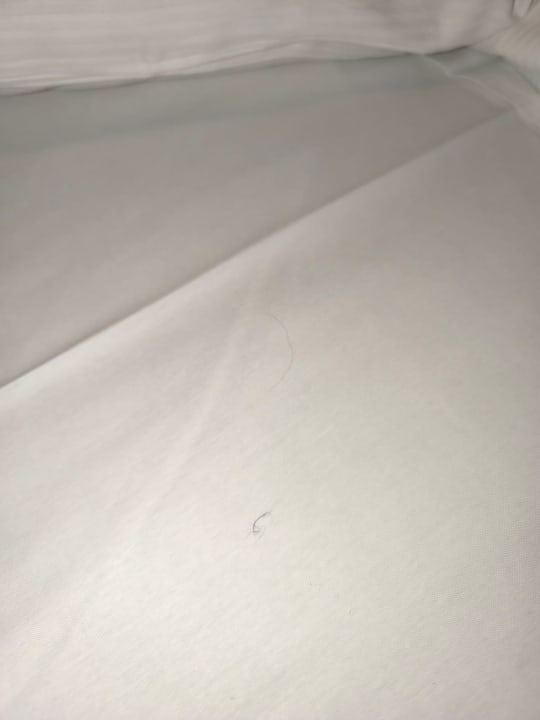 Zimmer Hotel Prens Berlin