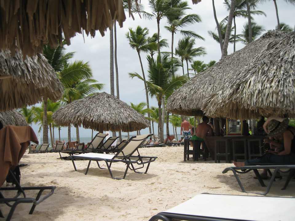Strand -Palmen Secrets Royal Beach Punta Cana - Adults only