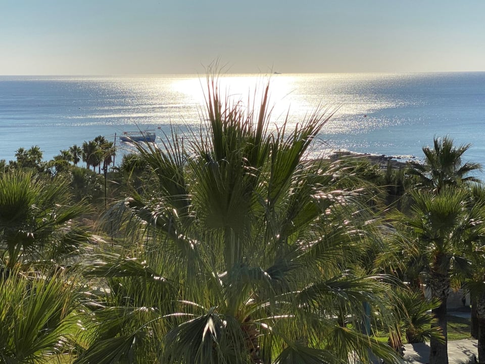 Gartenanlage Rodos Princess Beach Hotel & Spa