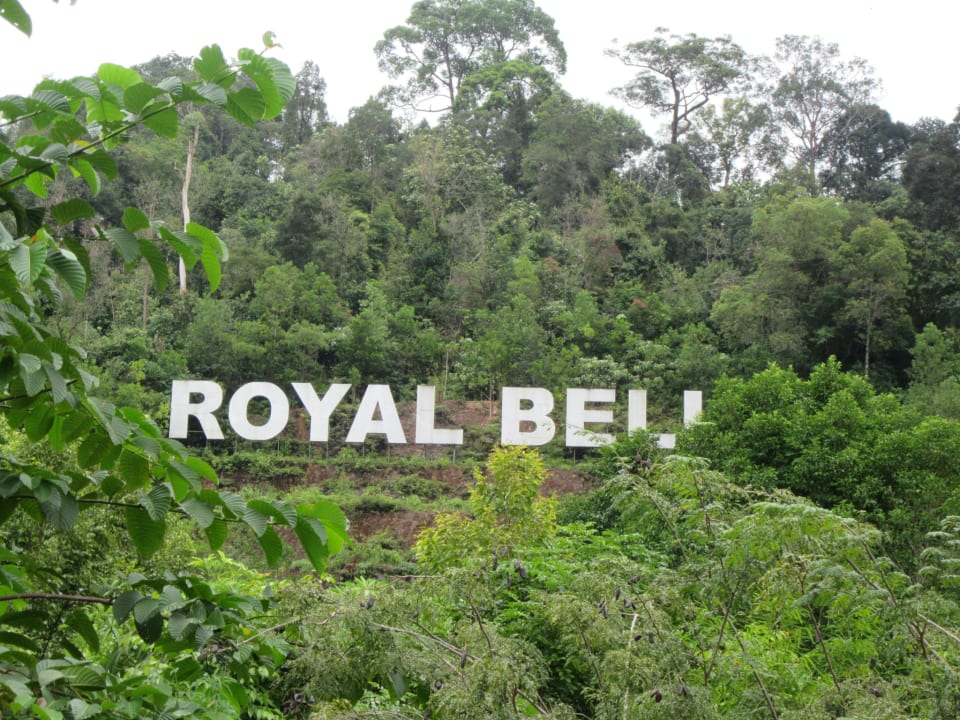 Gartenanlage Hotel Belum Rainforest Resort