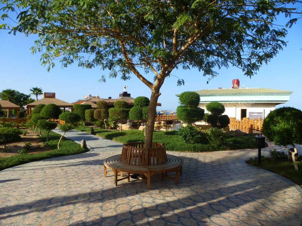 Auf dem Weg zum ital.Restaurant 1 Tropitel Sahl Hasheesh