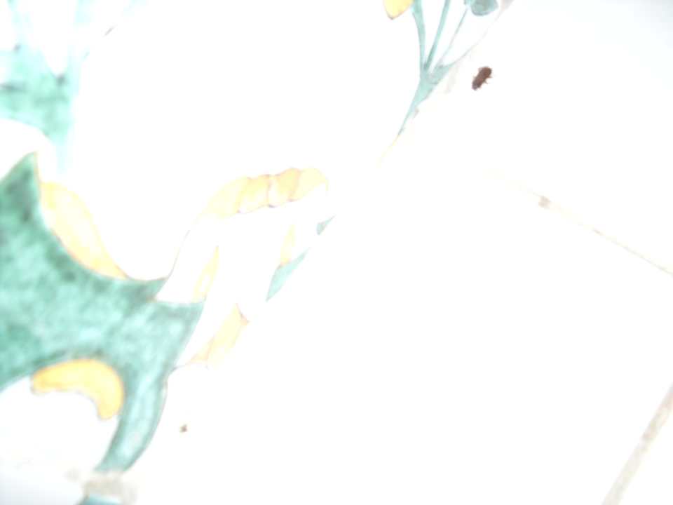 Salle de bain blattes Alassio Hotel and Thalasso