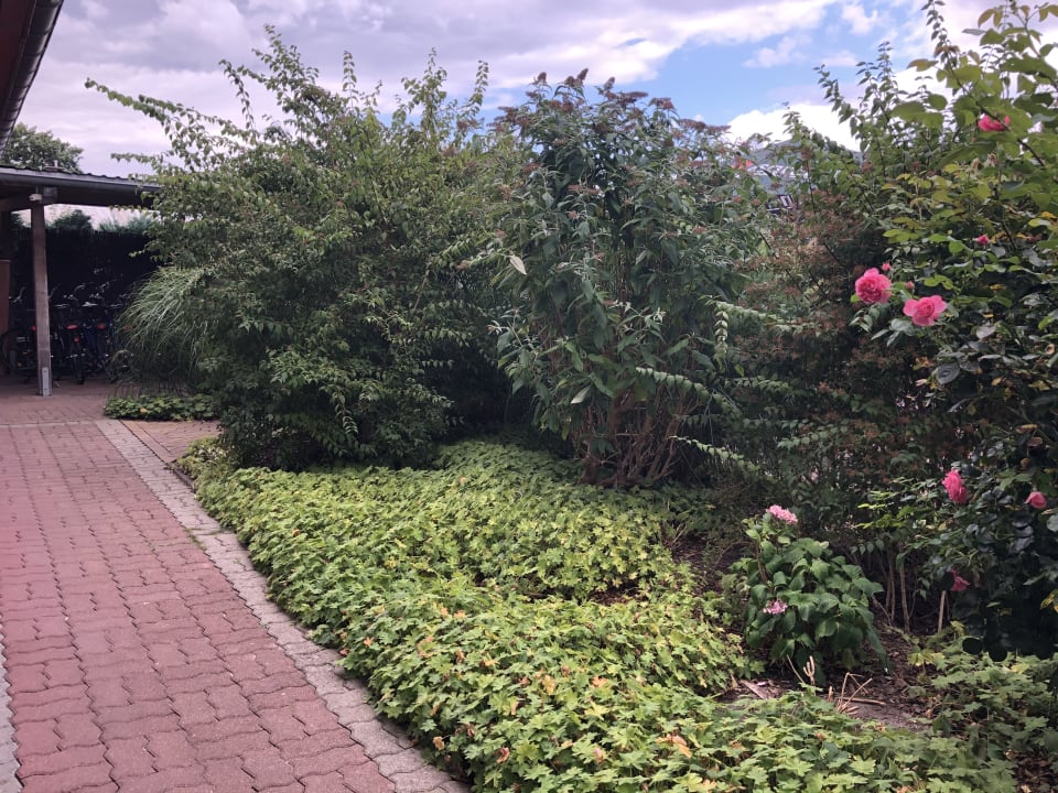 Gartenanlage Ferienhotel Bernstein