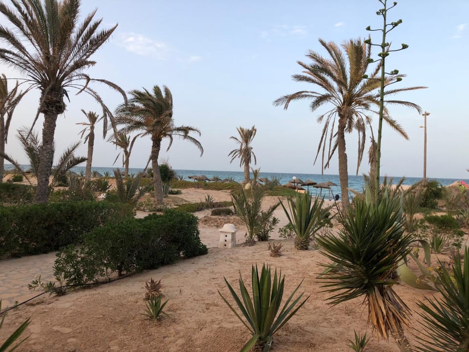 Gartenanlage Zita Beach Resort