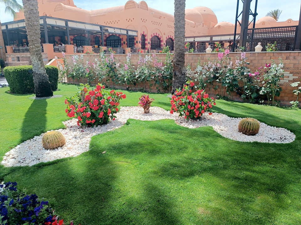 Gartenanlage Jaz Makadi Oasis Resort