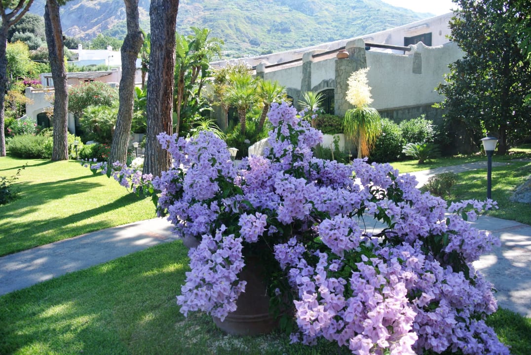 Paradiso Garden, Nebengebäude, Gartenblick Hotel Paradiso Terme Resort & SPA