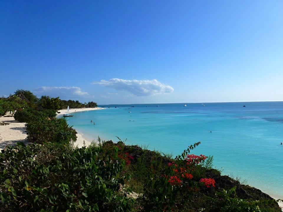 Garten Hotel Riu Palace Zanzibar