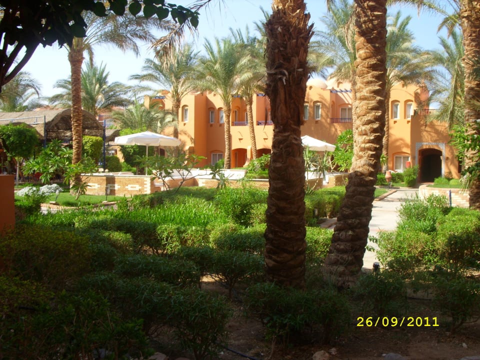Просто вид   Jaz Makadi Oasis Resort