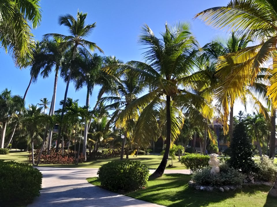 Gartenanlage Punta Cana Princess All Suites Resort & Spa