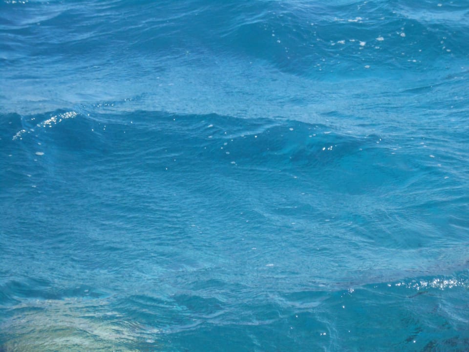 Sonstiges Jaz Solaya